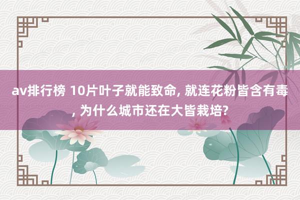 av排行榜 10片叶子就能致命， 就连花粉皆含有毒， 为什么城市还在大皆栽培?