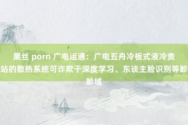 黑丝 porn 广电运通：广电五舟冷板式液冷责任站的散热系统可诈欺于深度学习、东谈主脸识别等畛域