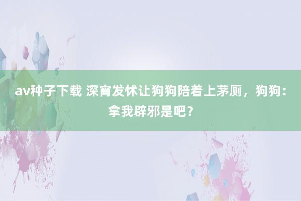 av种子下载 深宵发怵让狗狗陪着上茅厕，狗狗：拿我辟邪是吧？