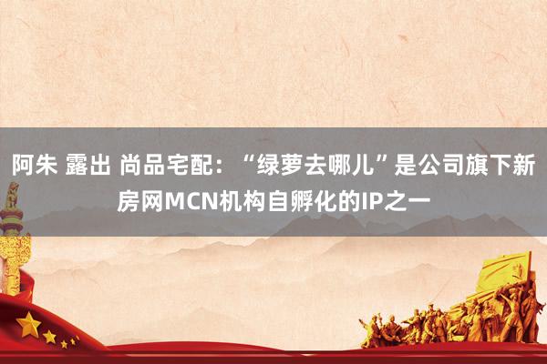 阿朱 露出 尚品宅配：“绿萝去哪儿”是公司旗下新房网MCN机构自孵化的IP之一