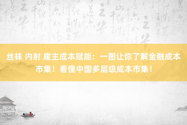 丝袜 内射 雇主成本赋能：一图让你了解金融成本市集！看懂中国多层级成本市集！