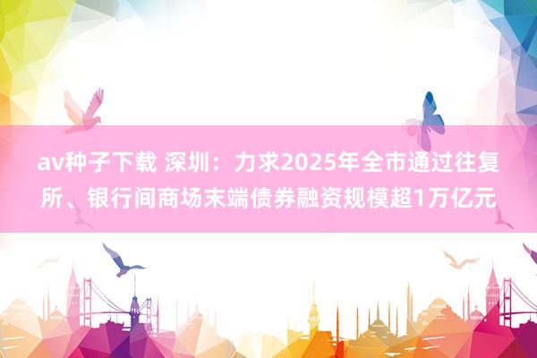 av种子下载 深圳：力求2025年全市通过往复所、银行间商场末端债券融资规模超1万亿元