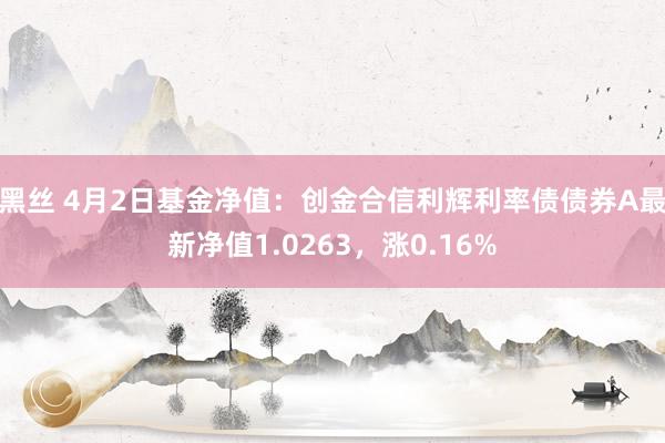 黑丝 4月2日基金净值：创金合信利辉利率债债券A最新净值1.0263，涨0.16%
